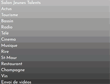 Tablet Screenshot of jeunestalents.tv